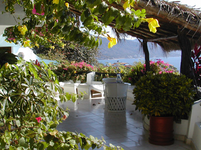 Ocho Cascadas palapa roof shade
